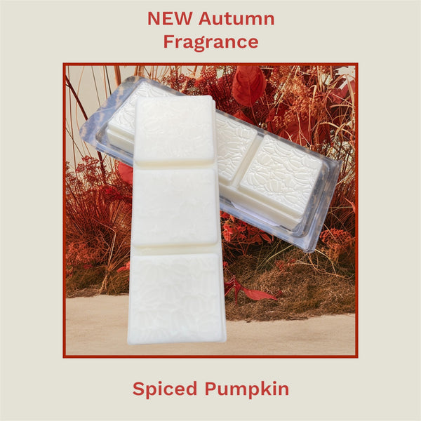 Autumn Range Clamshell - Spiced Pumpkin