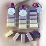 5 Individual Segment Clam - Laundry Collection
