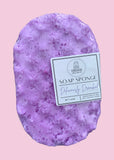 SOAP SPONGES
