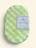 SOAP SPONGES