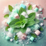 Large 6 Piece Clam - Marshmallow and Wild Mint